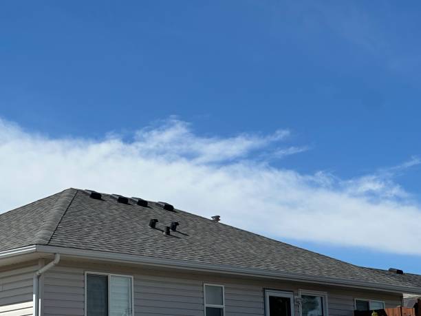 Grapeland, TX Roofing Company